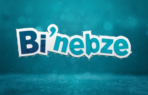diyanet.tv
