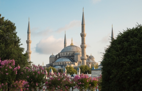 Camiler ve Din Görevlileri Haftası Açılış Programı - 2019