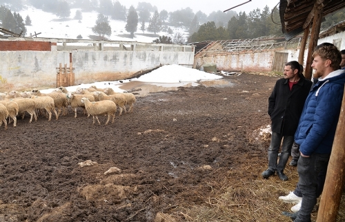 Özel Eğitim Alarak ''Sertifikalı Çoban'' Oldular