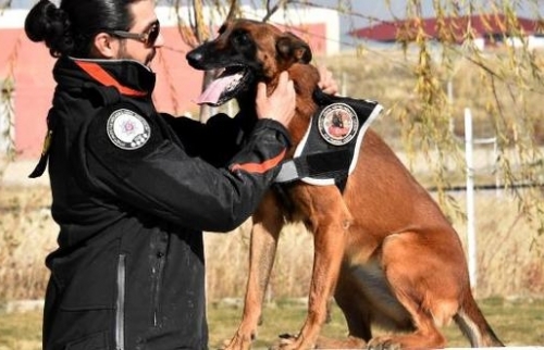 Suçluların Korkulu Rüyası ''Süper Burunlar''