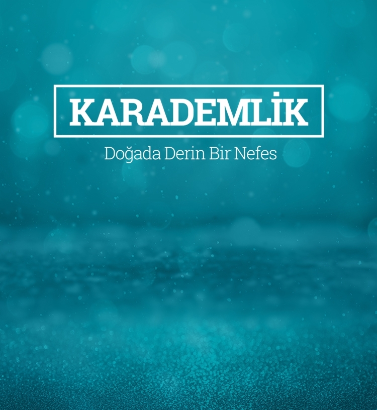 Karademlik