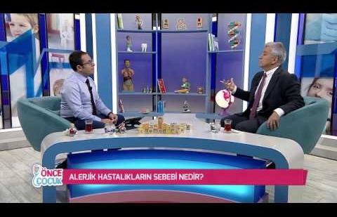 Alerjik Hastalıkların Nedeni Nedir?