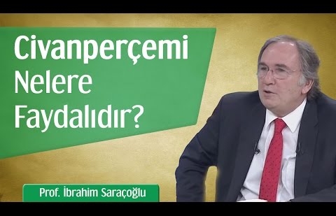 Civanperçemi Nelere Faydalıdır? - Prof. İbrahim Saraçoğlu 