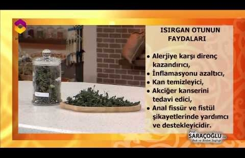 Isırganın Faydaları