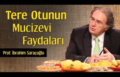 Tere Otunun Mucizevi Faydaları - Prof. İbrahim Saraçoğlu 