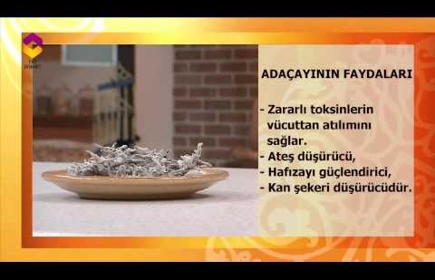 Tıbbi Bitkiler - Adaçayı