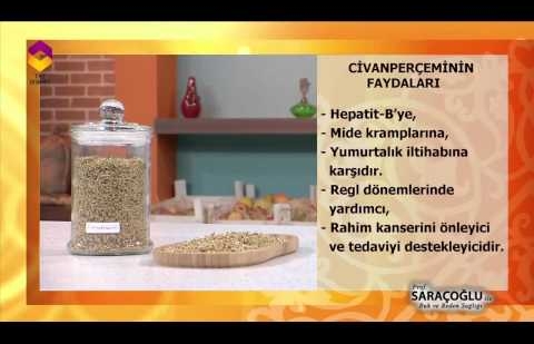 Tıbbi Bitkiler - Civanperçemi