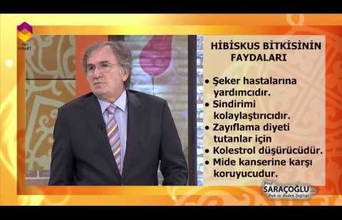 Tıbbi Bitkiler - Hibiskus Bitkisi