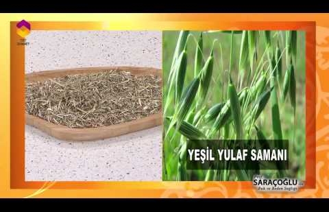 Tıbbi Bitkiler - Yulaf Samanı
