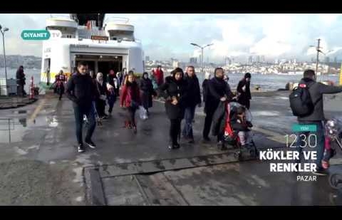 Kökler ve Renkler - Tanıtım