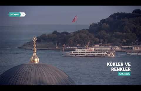 Kökler ve Renkler - Tanıtım