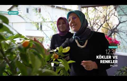 Kökler ve Renkler 3.Bölüm - Tanıtım