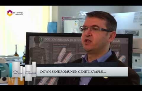 Önce Çocuk - Down Sendromunun Genetik Yapısı