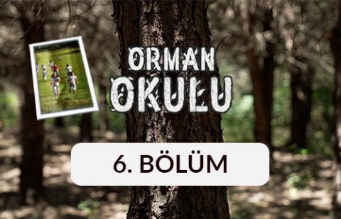 Orman Okulu - 6. Bölüm