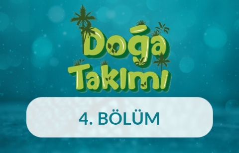 Kuş Evleri Yapalım - Doğa Takımı 4. Bölüm