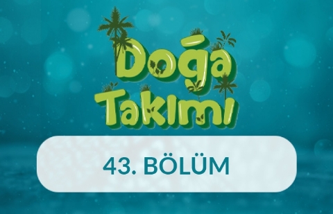 Güneş Enerjisi - Doğa Takımı 43. Bölüm