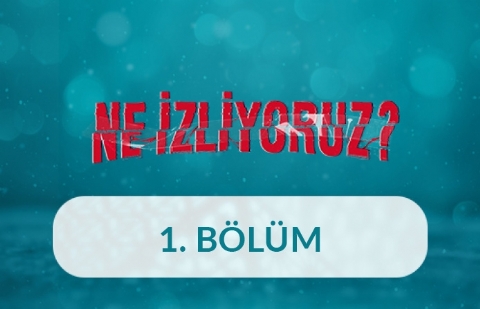 Görsel Endüstride  Aile Temsili - Ne İzliyoruz 1.Bölüm