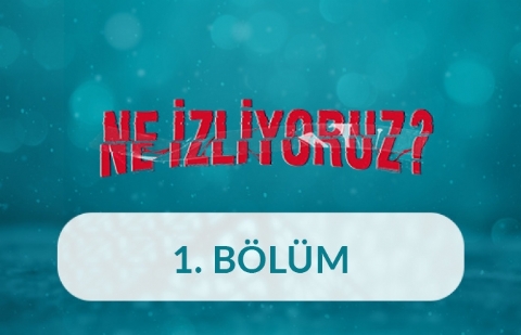 Görsel Endüstride  Aile Temsili - Ne İzliyoruz 1.Bölüm