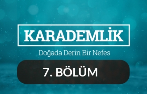 Aydın - Karademlik 7.Bölüm