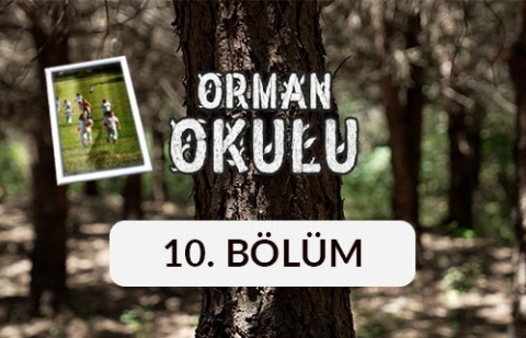 Orman Okulu - 10. Bölüm