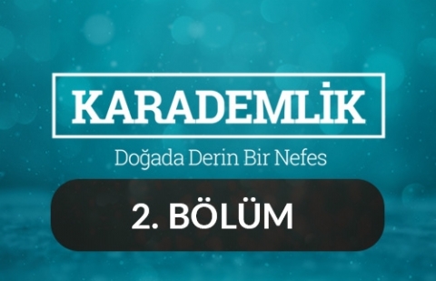 Düzce - Karademlik 2.Bölüm